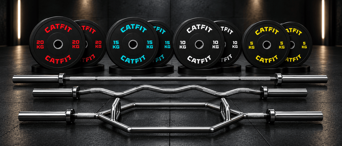 DISCOS Y BARRAS - catfit