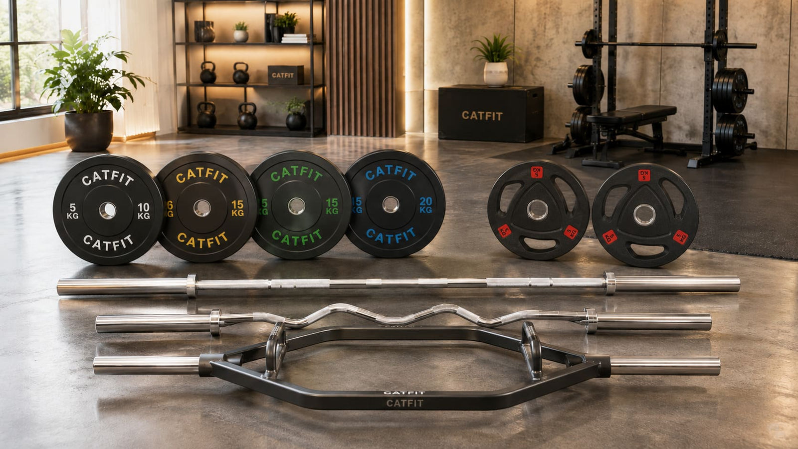 Discos y Barras CATFIT | Ideal para entrenar en casa o gym - catfit