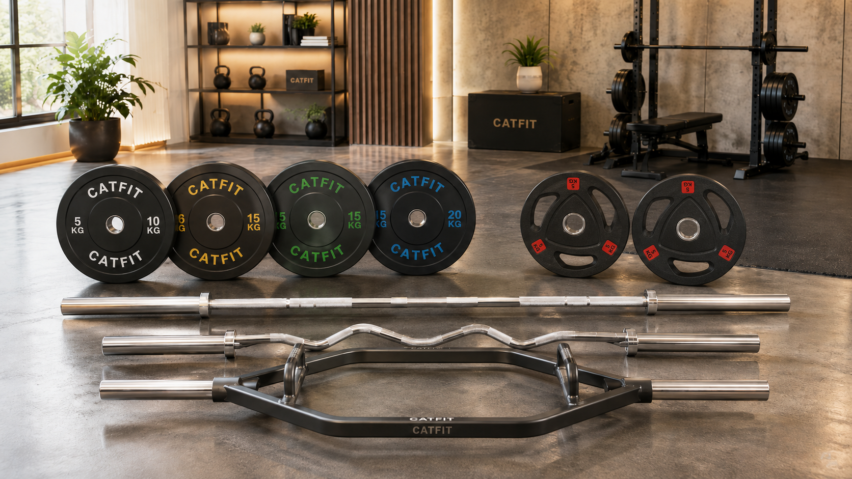 Discos y Barras Olímpicas CATFIT - catfit