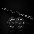 PACK CATFIT — BARRA CURL Z OLÍMPICA + PAR DE DISCOS 10 KG + SEGUROS - catfit