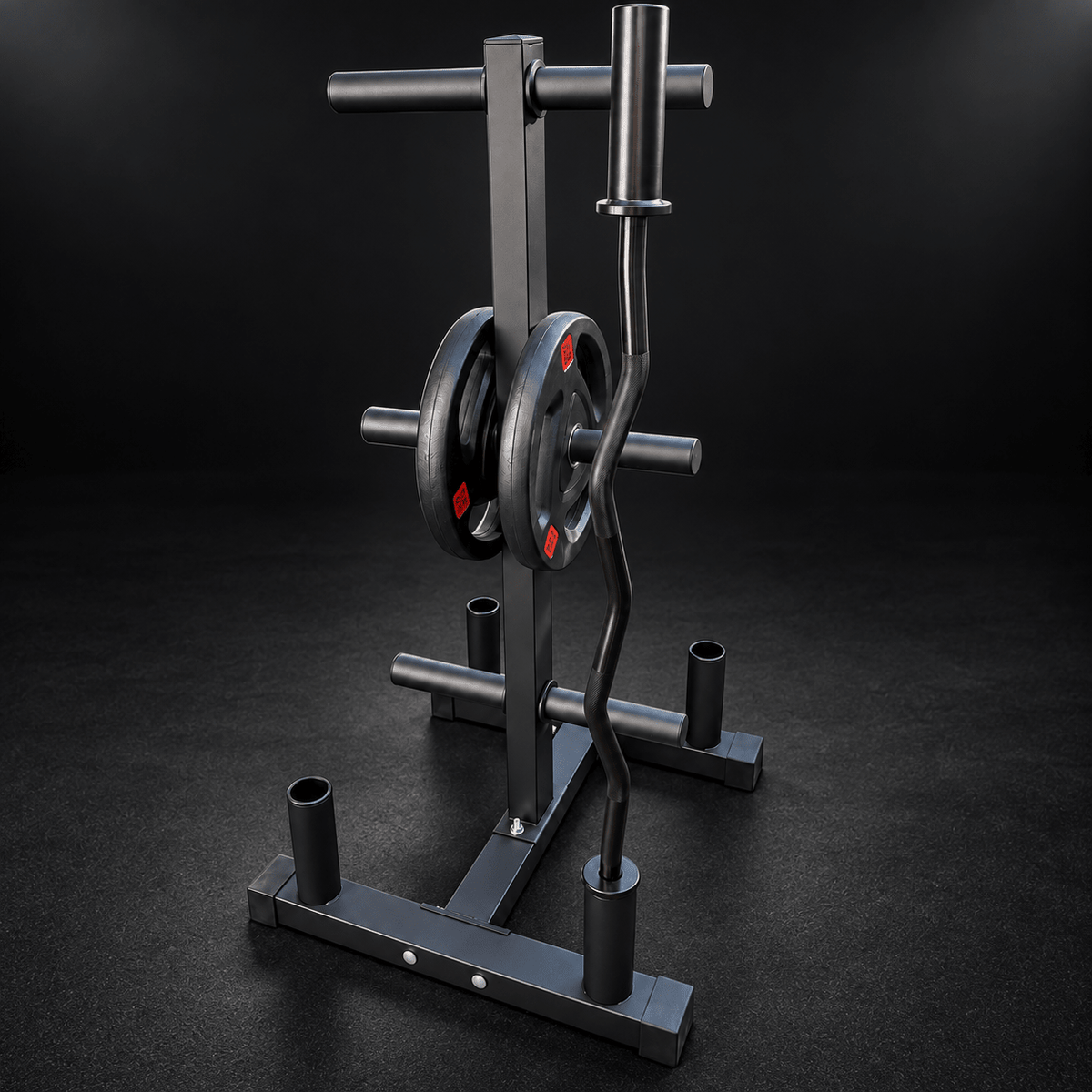 RACK PARA DISCOS Y BARRAS CATFIT 200 KG - catfit