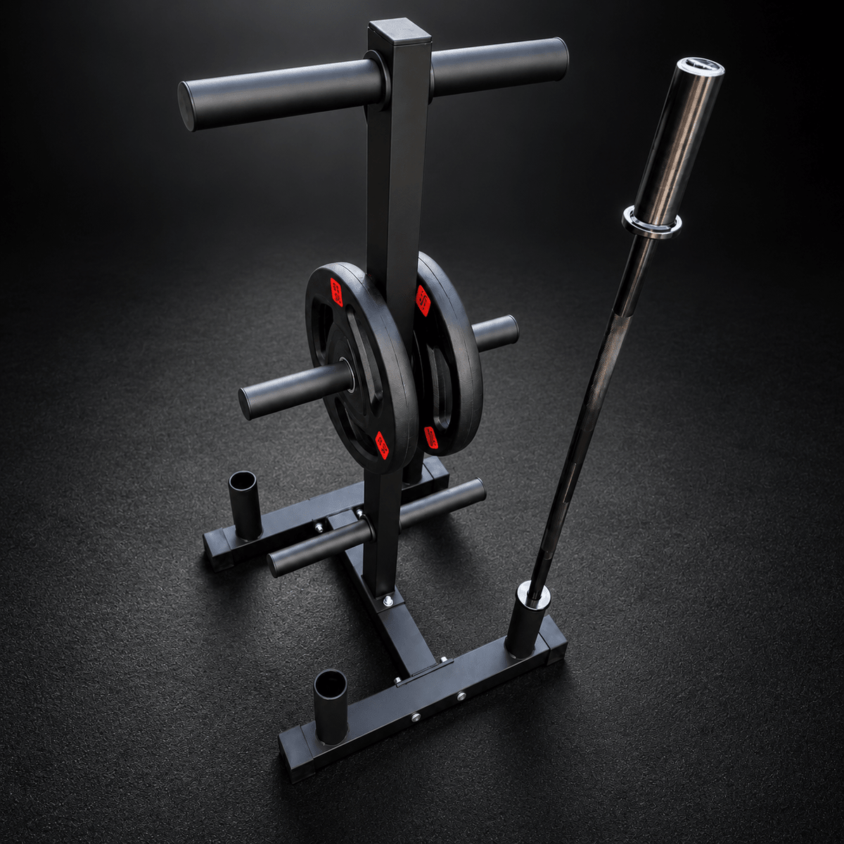 RACK PARA DISCOS Y BARRAS CATFIT 200 KG - catfit