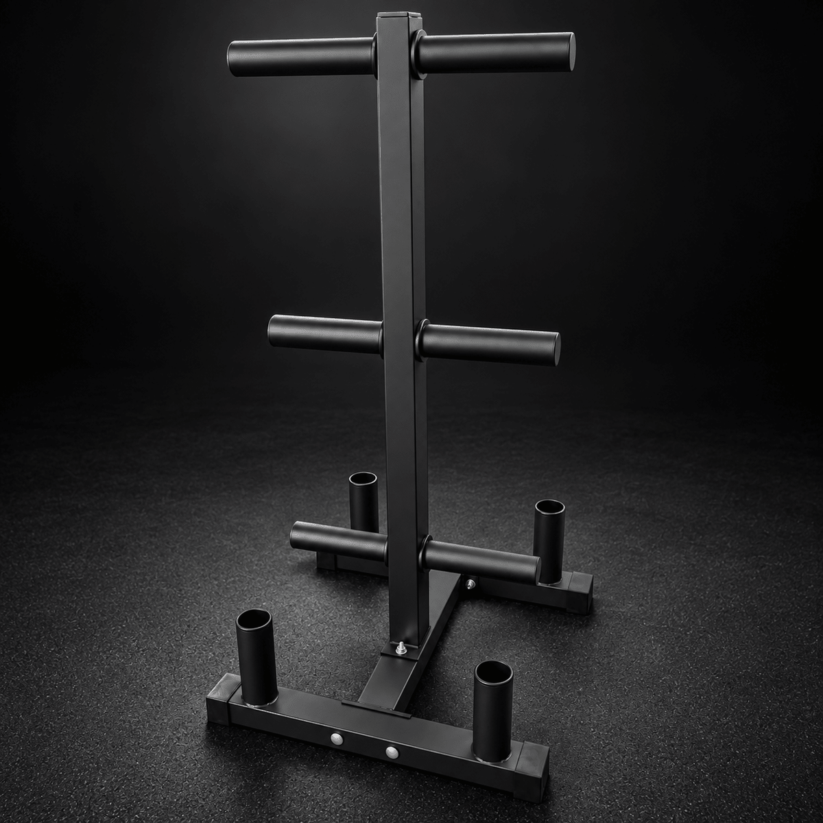 RACK PARA DISCOS Y BARRAS CATFIT 200 KG - catfit