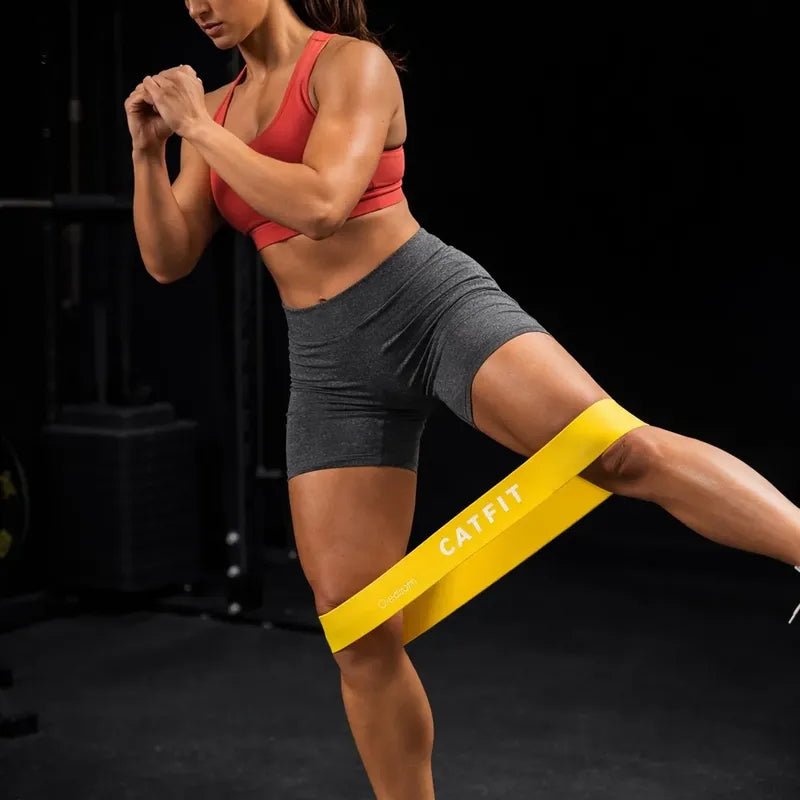 Set 5 Bandas Elásticas Catfit Resistencias - catfit